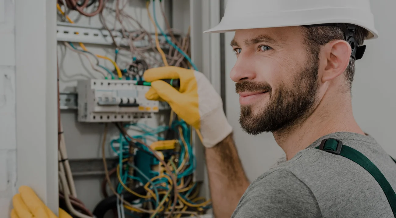 Professional Electrical Services